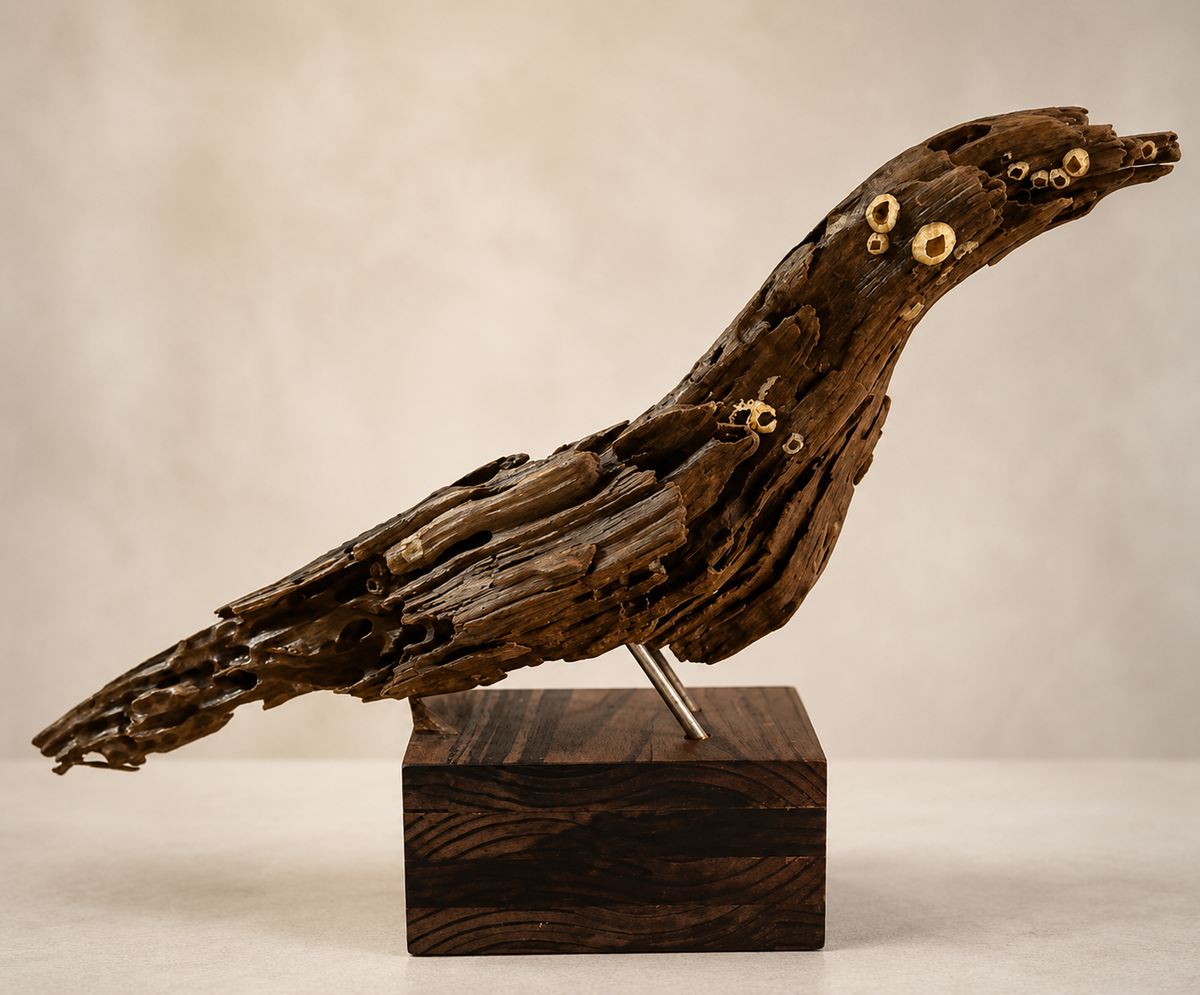 Paradise Bird